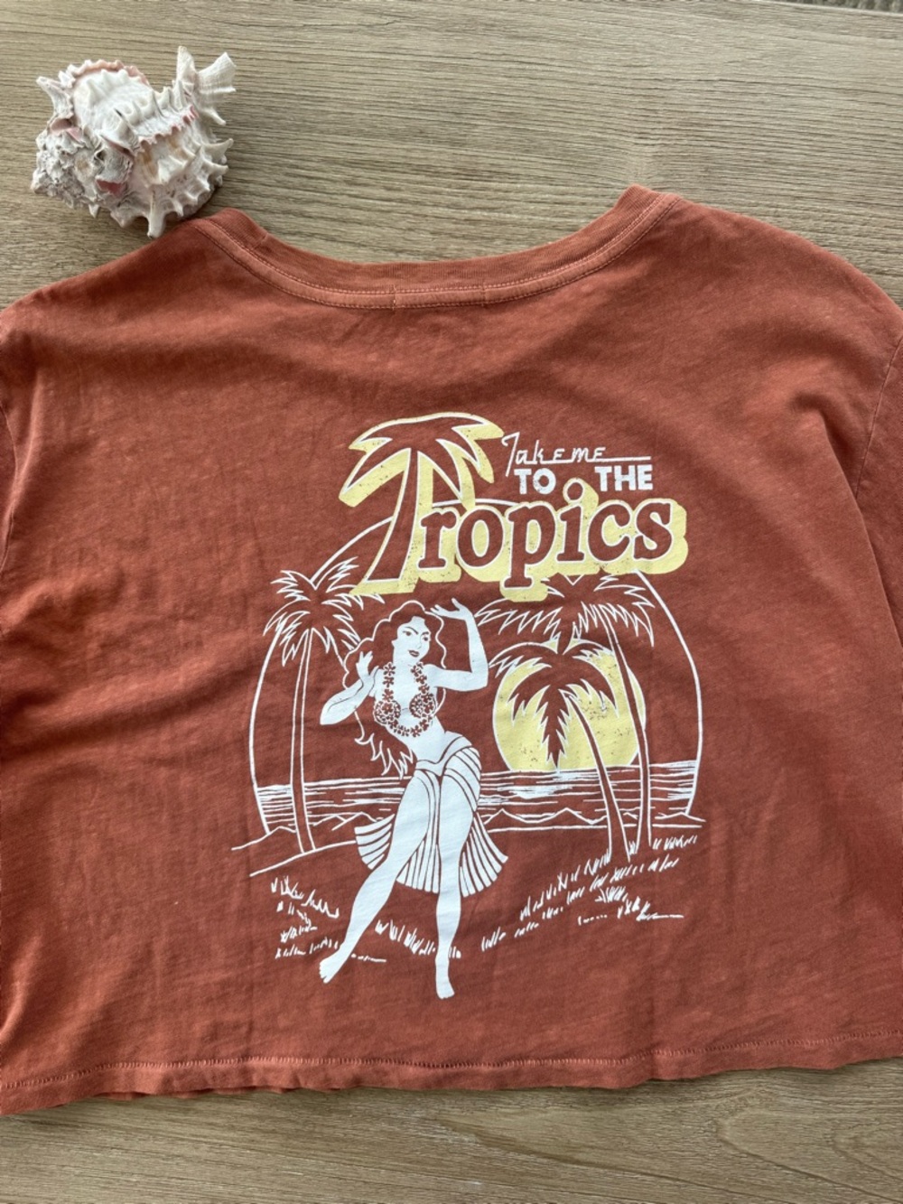 Billabong Rusty Rose Cropped Tee with Tropics Graphic - Picture 2 of 2